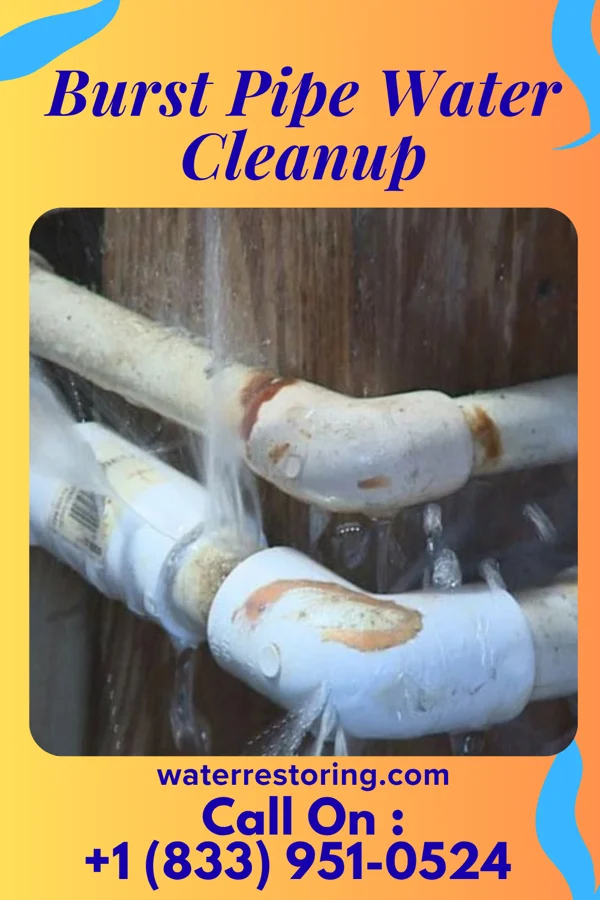 Burst Pipe Water Cleanup in Oljato-Monument Valley, AZ